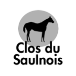 clos-du-saulnois