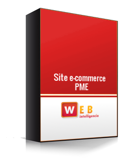 p-site-e-commerce-pme